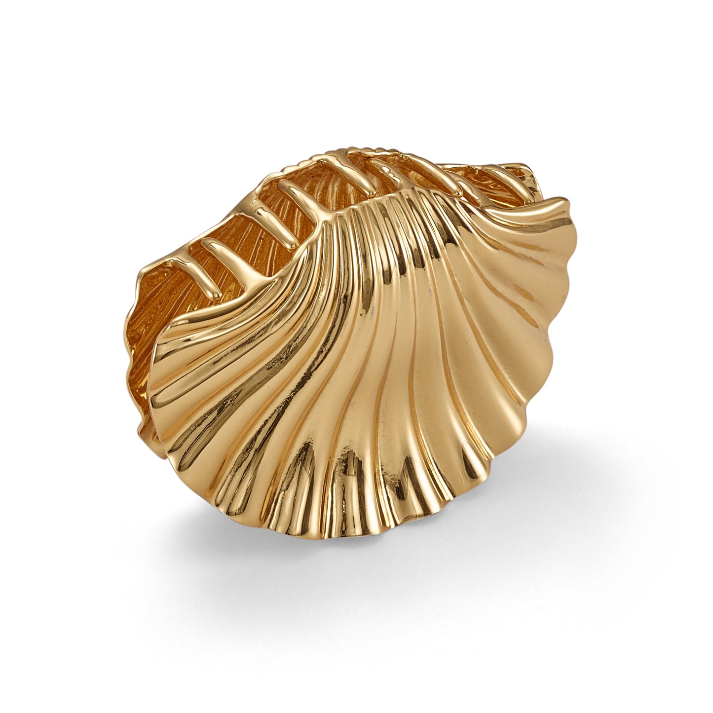 Glossy Shell Claw Clip-Claw Clip