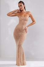 Sheer Embellished Scoop Neck Evening Gown in Almond  Gemma Chic
