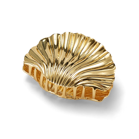 Glossy Shell Claw Clip-Claw Clip