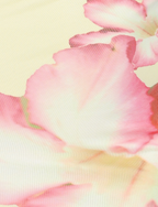 NYOMI MAXI DRESS - YELLOW : MACRO FLORAL : YELLOW HIBISCUS  GEMMACHIC