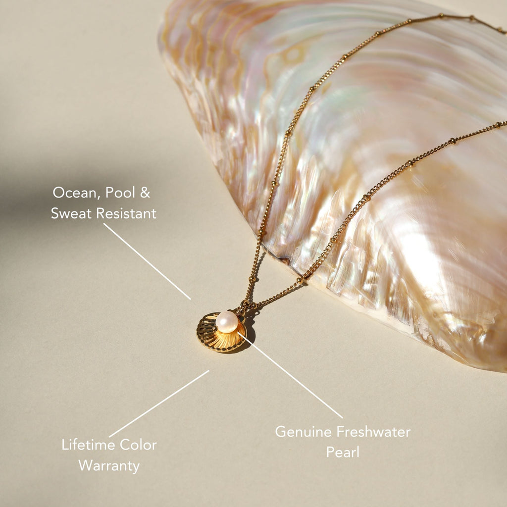 Seashell Necklace  GEMMACHIC