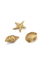 Serena Seashells Clips Set of 3  GEMMACHIC