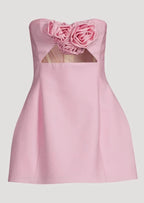 Valencia Dress - Baby Pink  GEMMACHIC